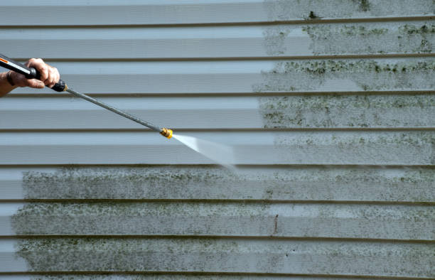 Best Deck Cleaning Services  in Rock Creek, MN