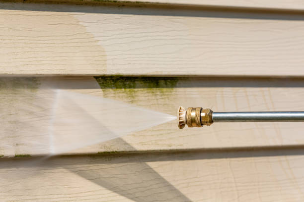 Best Affordable Power Washing  in Rock Creek, MN