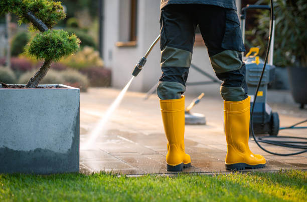 Best Exterior Home Cleaning  in Rock Creek, MN
